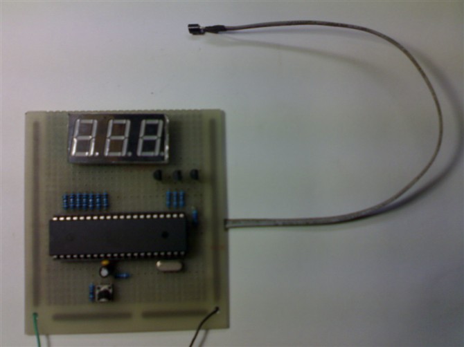 57915332216860.jpg