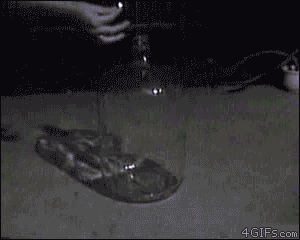 68141859934226.gif