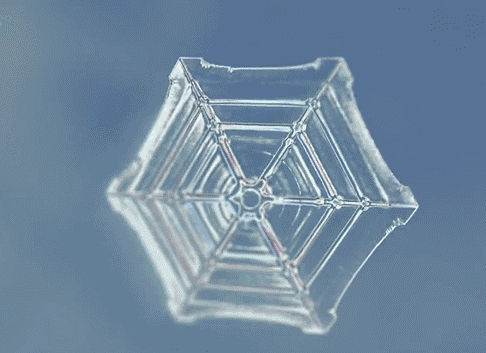 68141801049449.gif