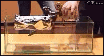 68141811089620.gif
