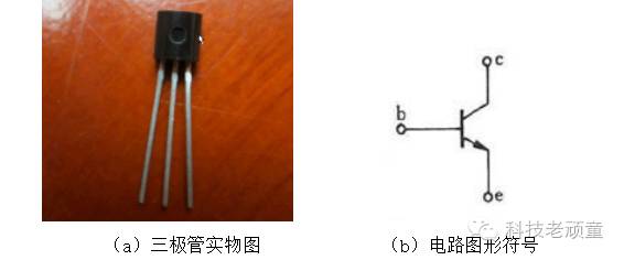 610205591752344.jpg
