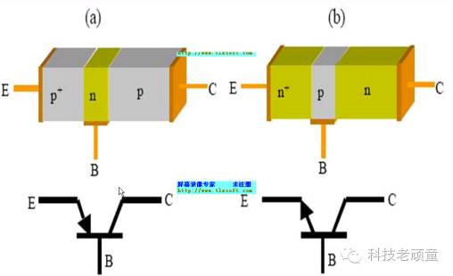 610205591769686.jpg