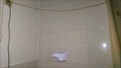 8.gif