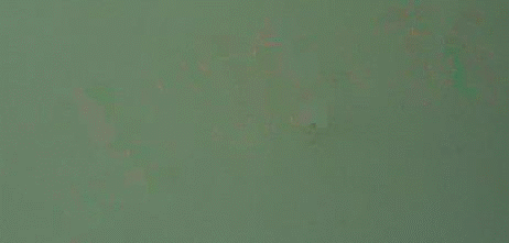 ģЧ.gif