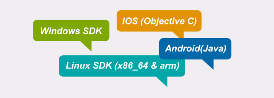 SDK.png