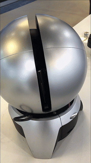 1526008085701175.gif