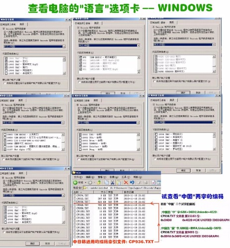 mmexport1535137569171.jpg