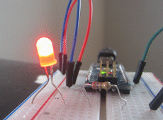 A2CA983CEA97.gif