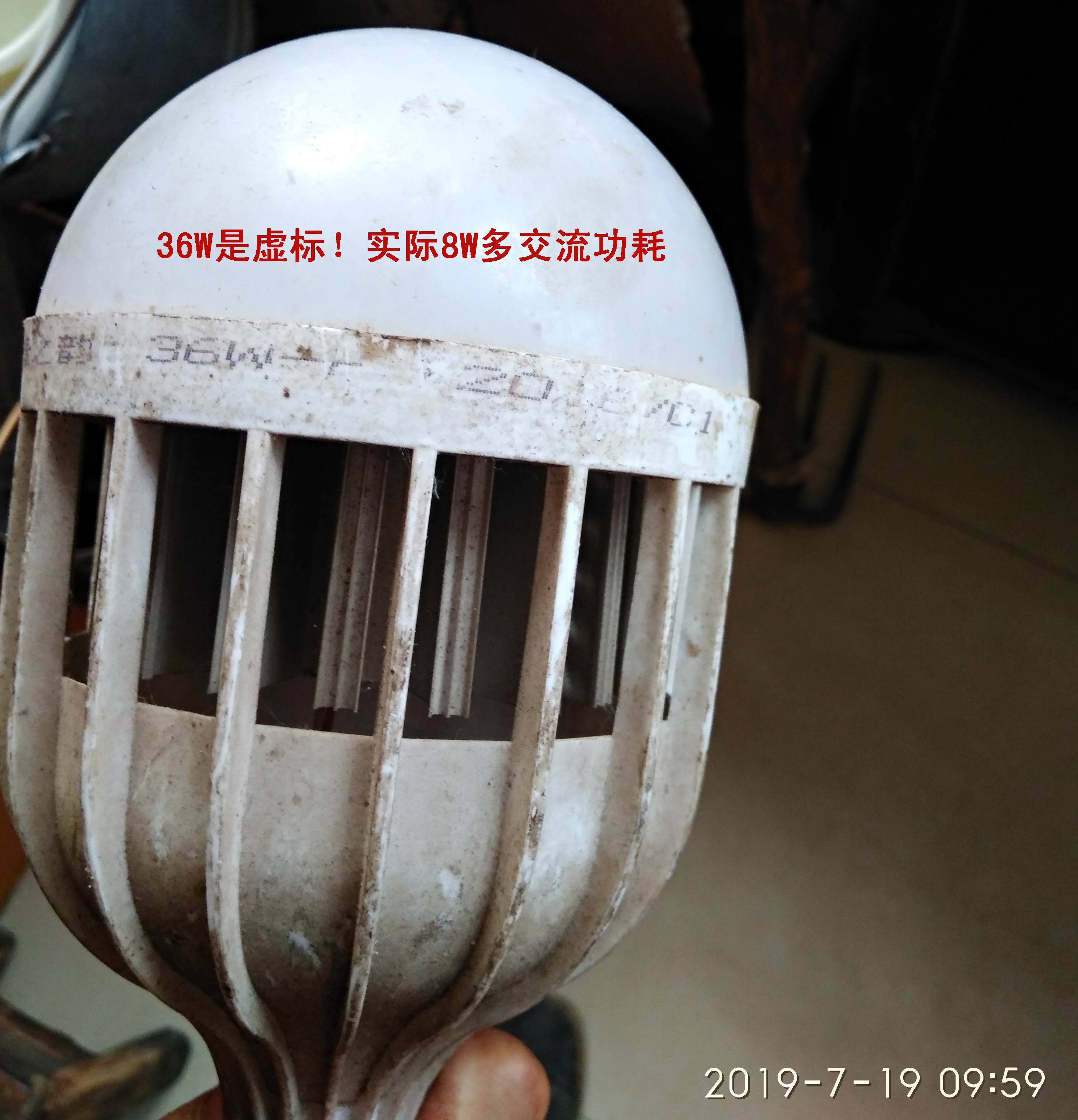 IMG_20190719_095924.jpg