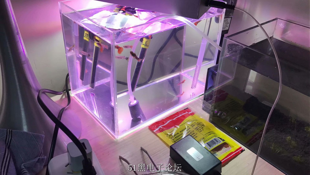 做好了那就是测一下呗，放到鱼缸上看下效果图。咦，骚粉色，，，需要再对配色优化一下。不过对我这种粉色控 ...