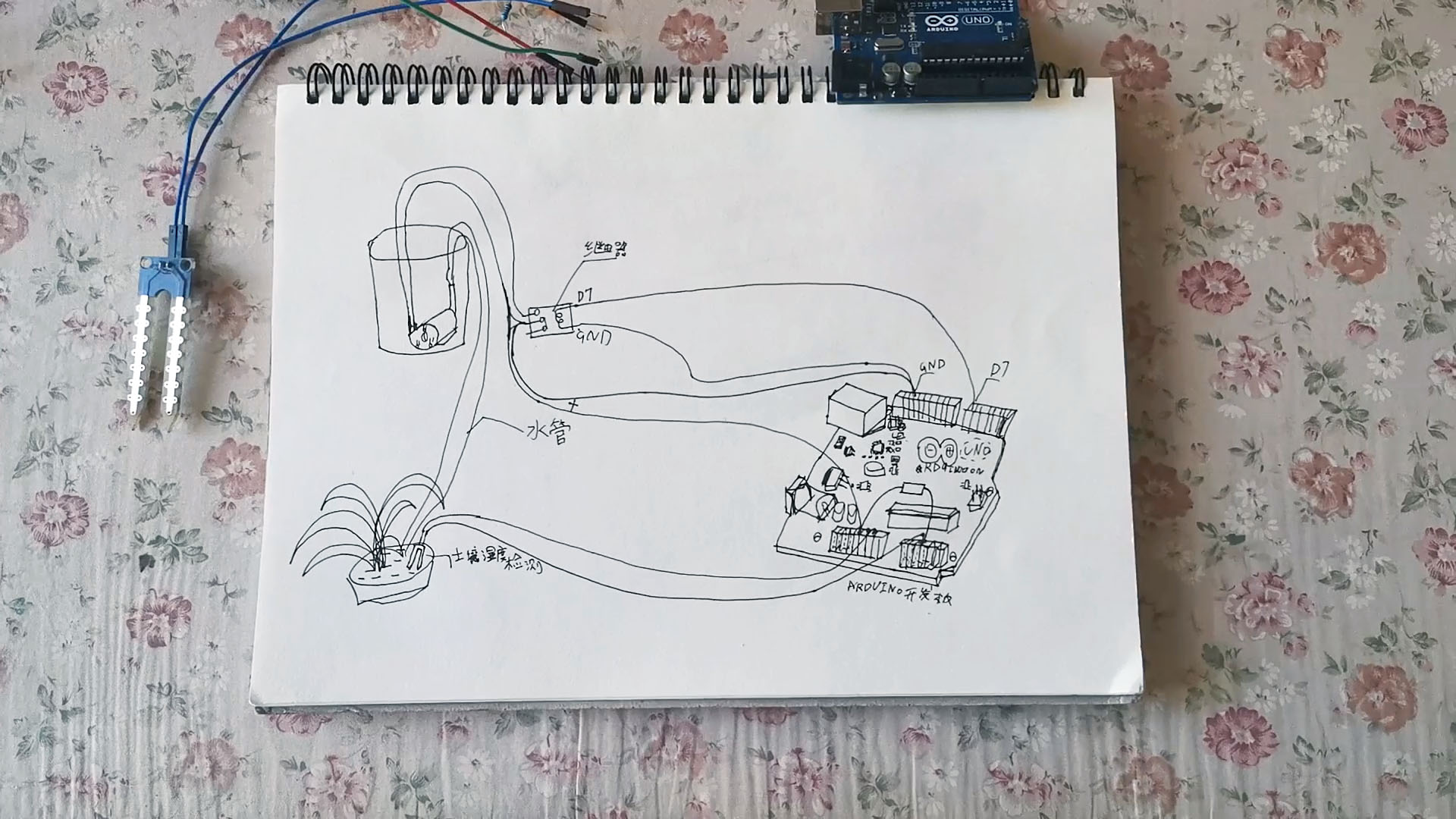 006.jpg