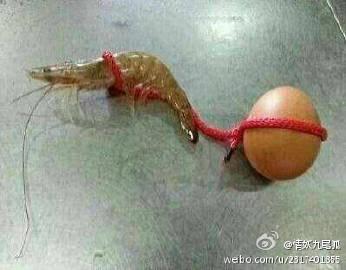 下載.jpg