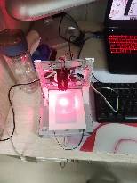 mmexport1610548128746.jpg.JPG