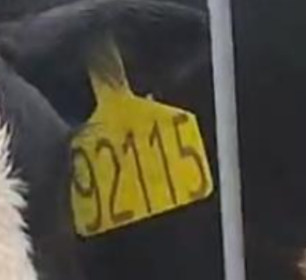 51hei截图_20230830090526.png
