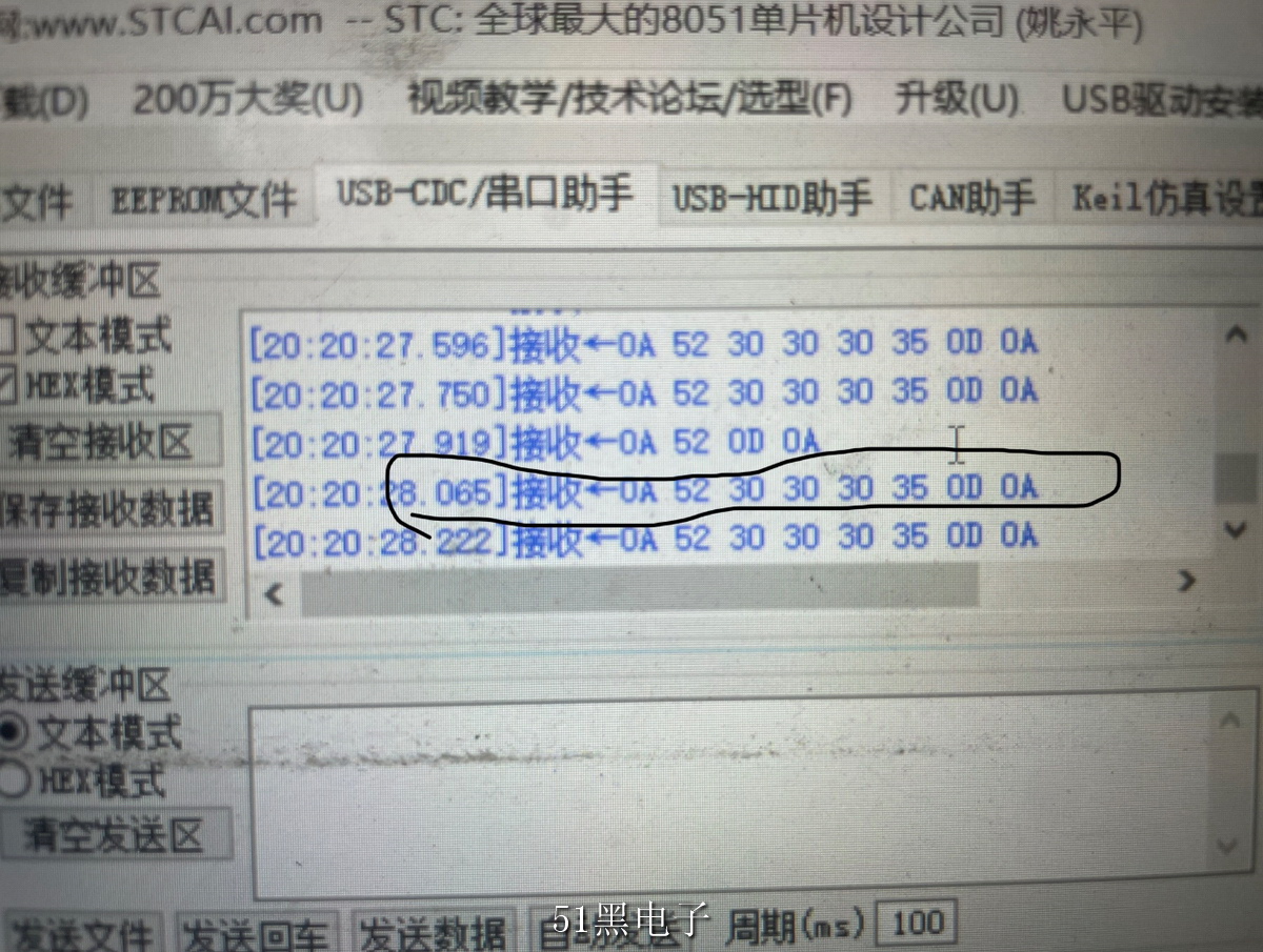 IMG_4985.jpeg