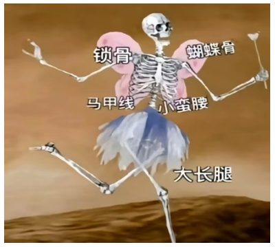 391-02.png