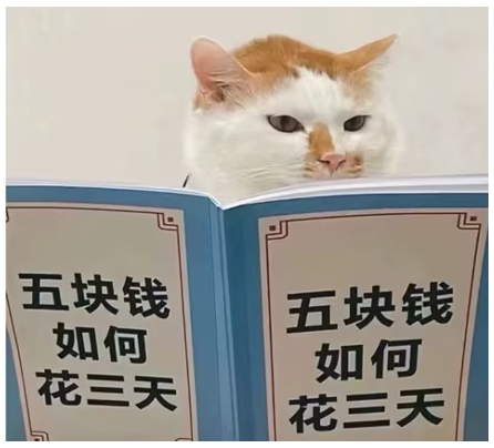 391-13.png